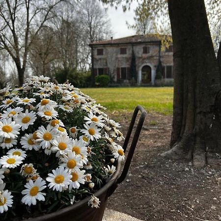 Agriturismo Corte San Girolamo مانتوفا المظهر الخارجي الصورة
