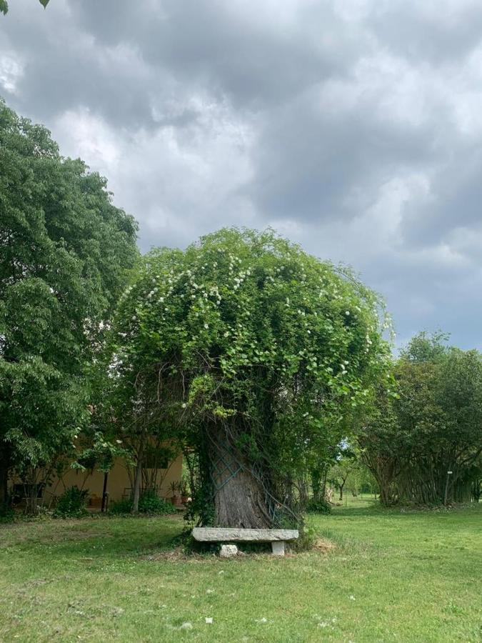 Agriturismo Corte San Girolamo مانتوفا المظهر الخارجي الصورة
