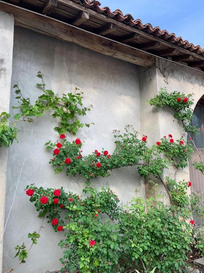 Agriturismo Corte San Girolamo مانتوفا المظهر الخارجي الصورة