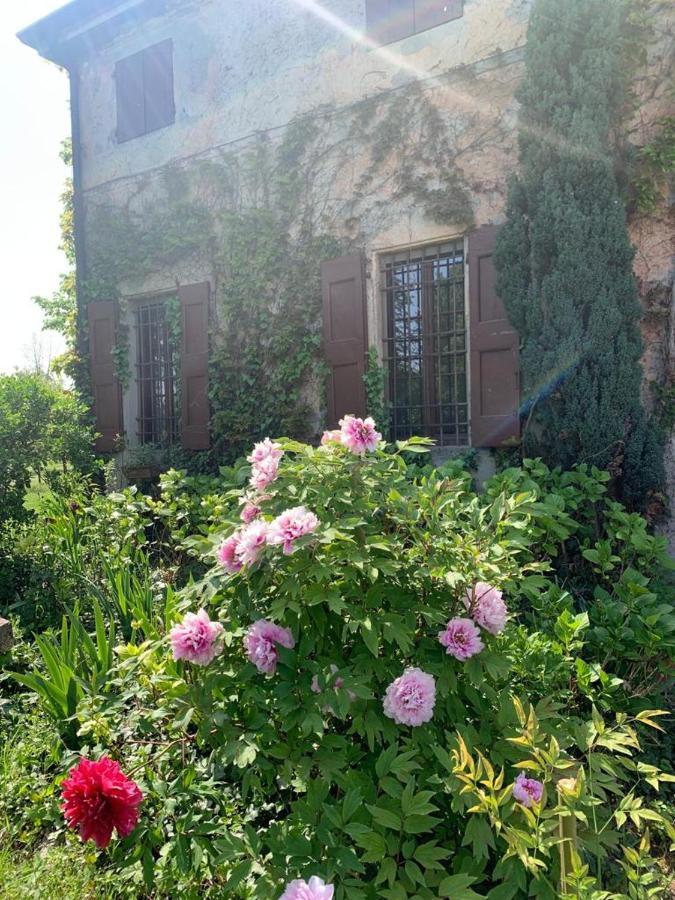 Agriturismo Corte San Girolamo مانتوفا المظهر الخارجي الصورة