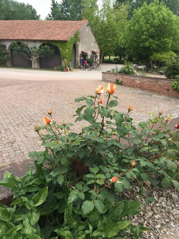 Agriturismo Corte San Girolamo مانتوفا المظهر الخارجي الصورة