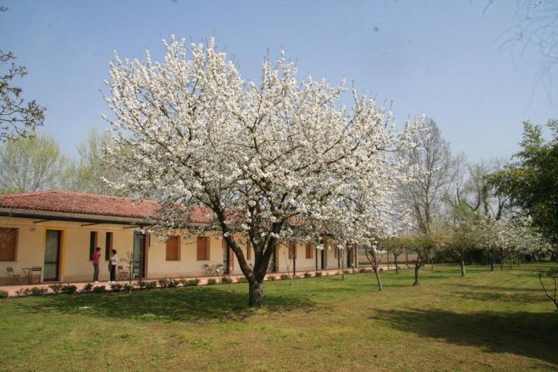 Agriturismo Corte San Girolamo مانتوفا المظهر الخارجي الصورة