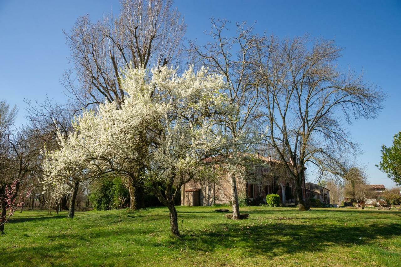 Agriturismo Corte San Girolamo مانتوفا المظهر الخارجي الصورة